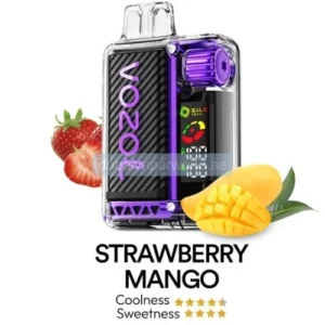 Vozol Vista 20000 Puffs strawberry mango Disposable vape