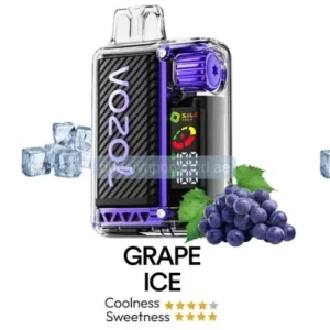 Vozol Vista 20000 Puffs grape ice Disposable vape